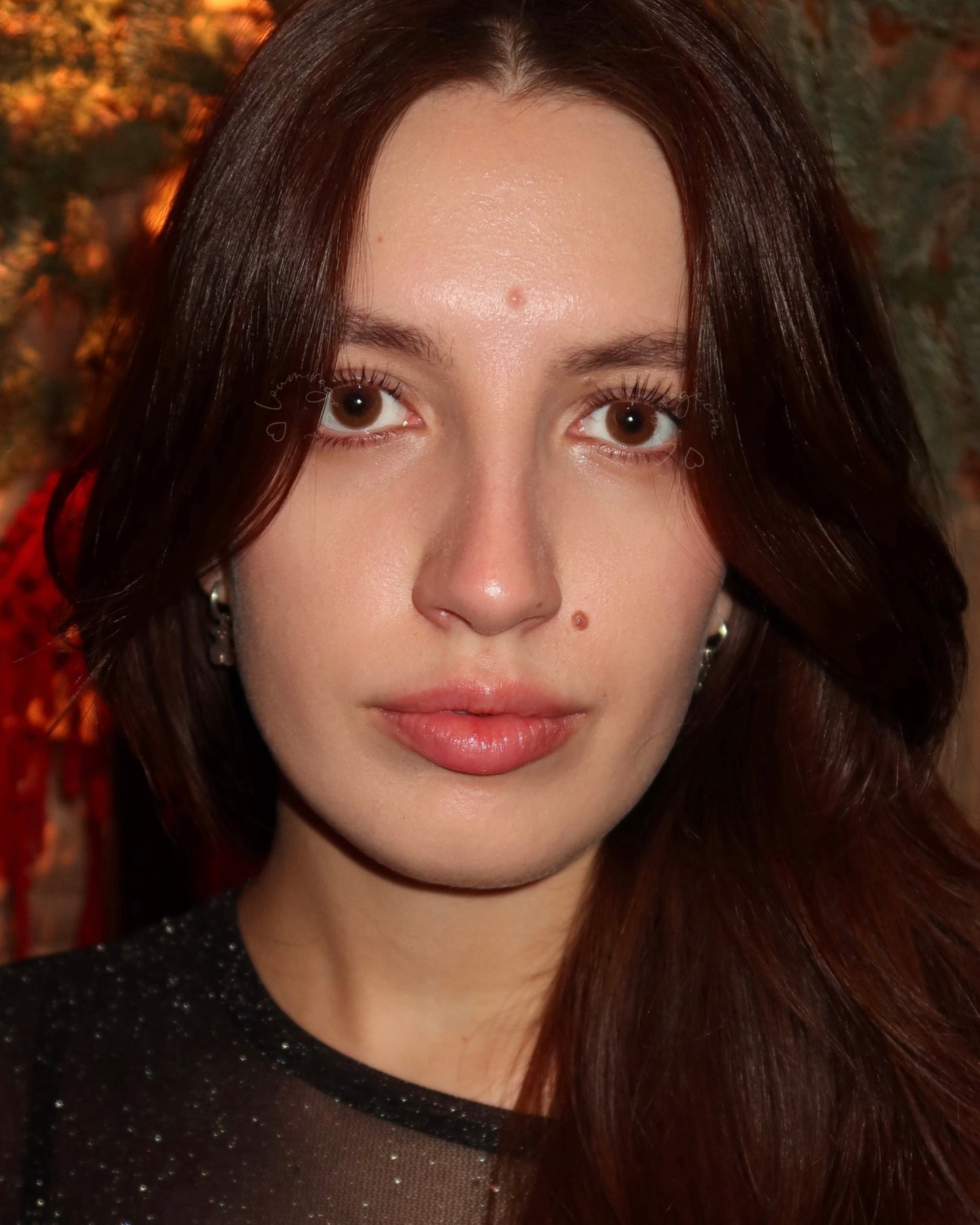 Maldives Milky Brown