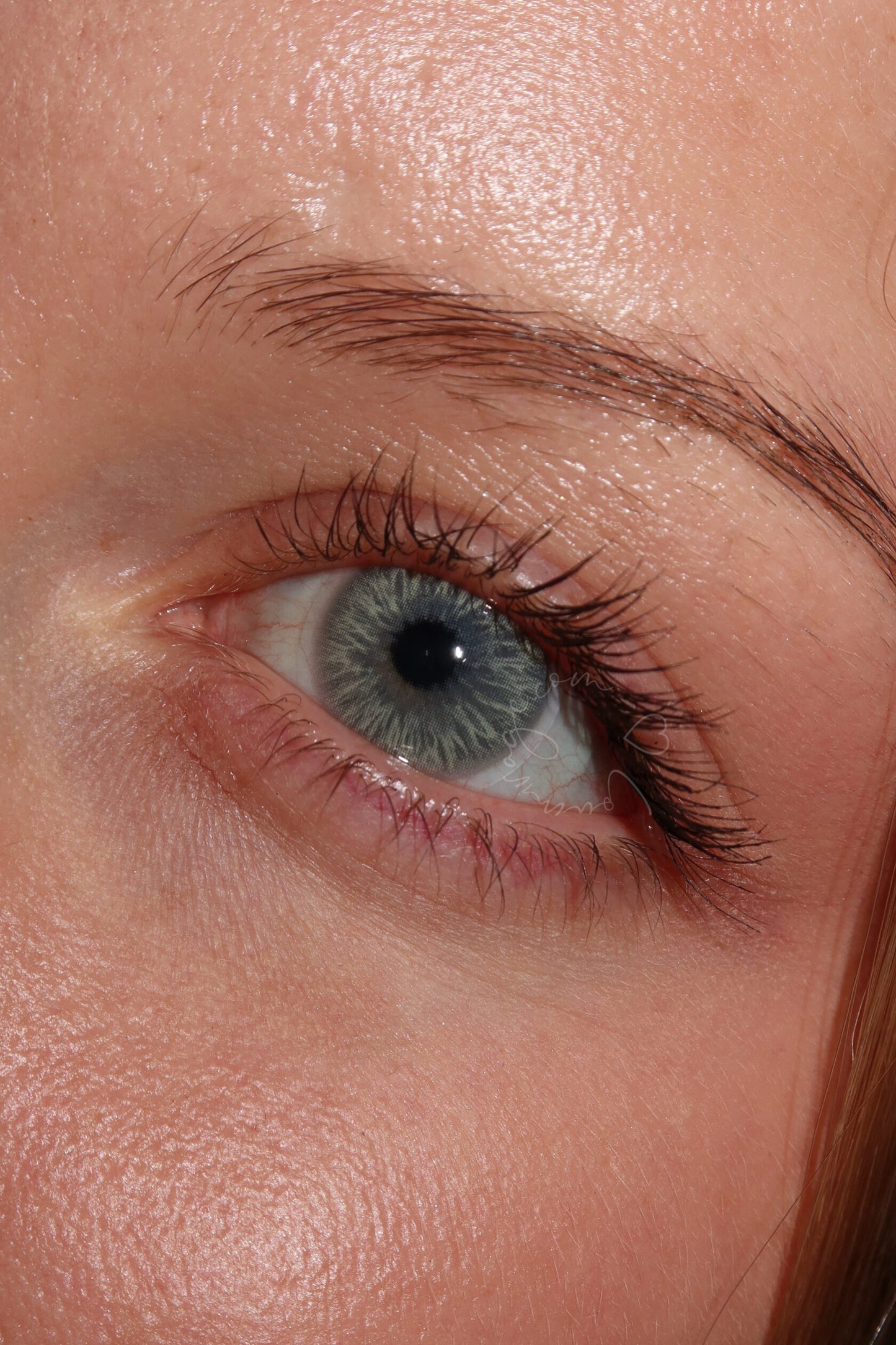 Avatar Green PRE-ORDER