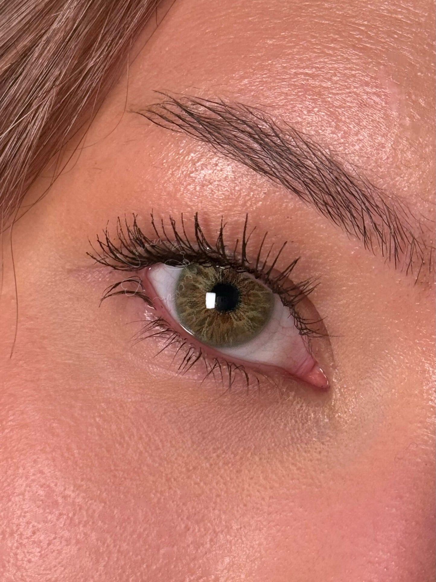 Moonlight Olive - NEW!